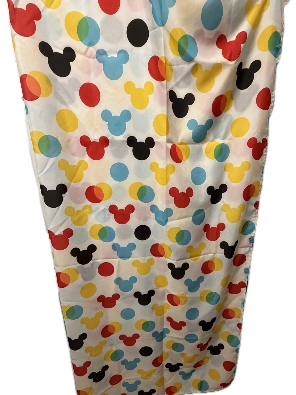 Disney fun mickey